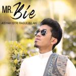 album image Aisyah Istri Rasulullah Aisyah Istri Rasulullah - Single
