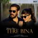Salman Khan - Tere Bina