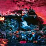 album image Ими ими ими ими (tiktok) (Muzos.net) Fleur froide