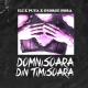 Eli, Puya, George Hora - Domnisoara Din Timisoara
