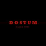 album image Dostum Dostum - Single