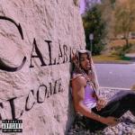 album image Moonwalking in Calabasas Moonwalking in Calabasas - Single