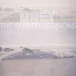 album image Love the Way You Lie, Pt. 2 The Buried Sessions of Skylar Grey - Single