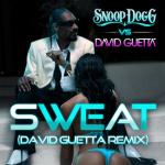 album image Wet (Tiesto Remix) Sweat/Wet - EP