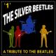 The Beatles Recovered Band - Yesterday