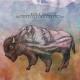 Black Hill - Crossroads - To be lost or to be found
