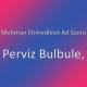 Mehman Ehmedlinin Ad Gunu - Perviz Bulbule,