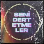 album image Seni Dert Etmeler Seni Dert Etmeler - Single