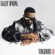 Fally Ipupa feat. Ninho - Likolo   [OKLM Russie]