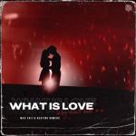 album image What Is Love What Is Love - Single