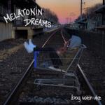 album image Route 9 Melatonin Dreams