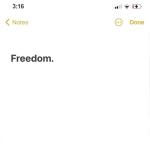 album image Freedom Freedom. - EP