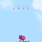 album image Мы берём на прокат самый быстрый самокат! АМУР - Single
