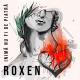 Roxen [drivemusic.me] - Inima Nu Fi De Piatra