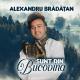 Alexandru Bradatan - Pe tata-l cheama Vasile