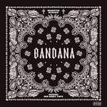 album image Slip & Slide BANDANA I