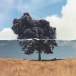 album image Used To This Cognition