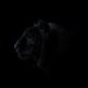 Dj GaLa & Ufuk Kaplan - Big Pain ( Official Audio )