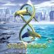 Stratovarius - Hunting High and Low