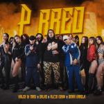 album image P rreo P Rreo (feat. Omar Varela) - Single