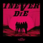 album image MY BAG I NEVER DIE