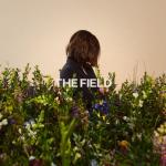 album image Idle Idols The Field