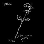 album image Marissa - By Your Side Stranger - EP