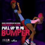album image Pull Up To Me Bumper Pull up to Mi Bumper - Single