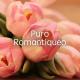 Wisin & Yandel, Chris Brown feat. T-Pain - Algo Me Gusta De Ti