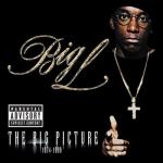 album image Platinum Plus (feat. Big Daddy Kane) The Big Picture