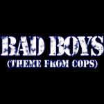 album image Bad Boys Bad To The Bone