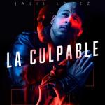 album image La Culpable La Culpable