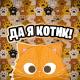 Simbachka - Кот На Стиле