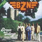 poster Goodnight Green Valleys