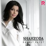 poster Habibi Le (zaycev.net) Rahmat hayot