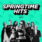 poster Dam Springtime Hits Vol. 1