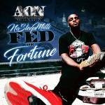 poster CITI3EN Fed or Fortune