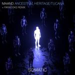 poster Ancestral Heritage (Paradoks Remix) Ancestral Heritage / Tucana