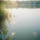 Moire - Glare Water